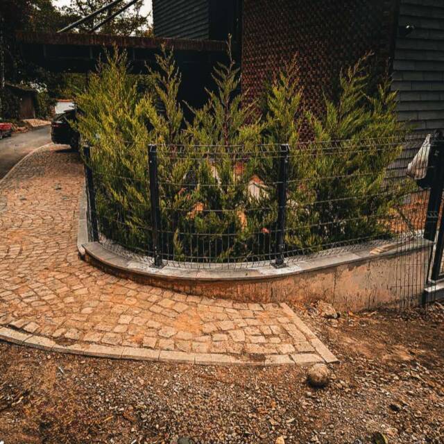 viber_izobrazhenie_2025-09-19_17-41-45-013